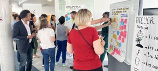 APEC : Créer une dynamique collective autour des transitions écologiques et énergétiques